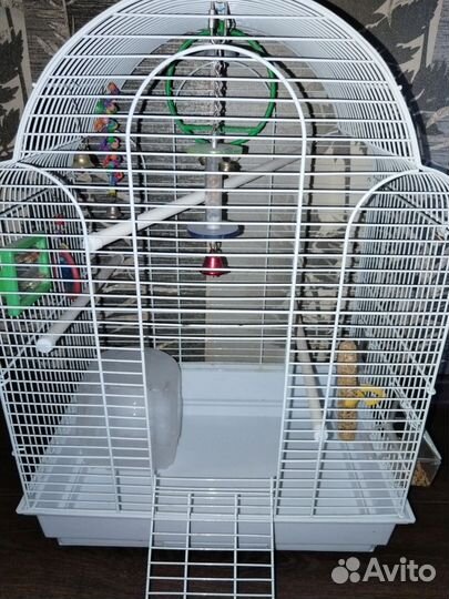 Клетка для попугая