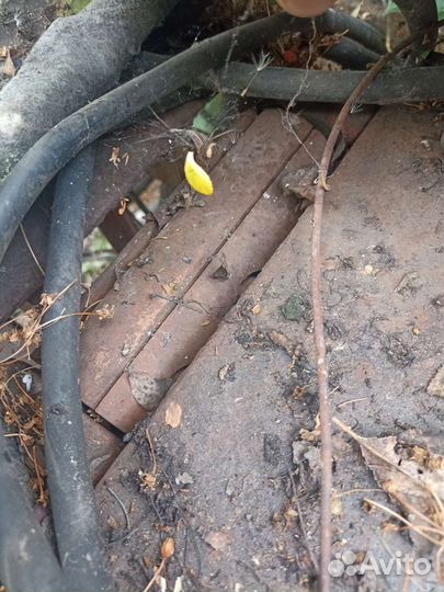 Циркулярный станок с фуганком