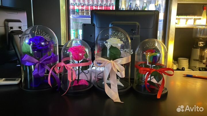 Живая роза в колбе