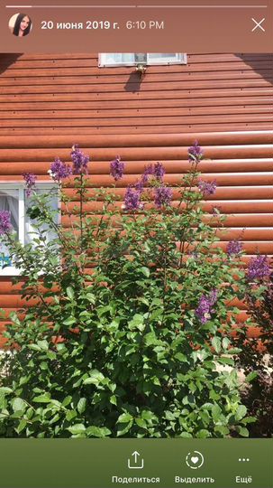 Дача 74 м² на участке 10 сот.