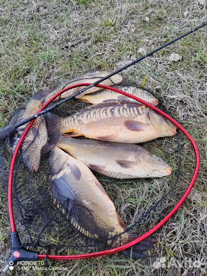 Рыбалка отдых база отдыха беседки