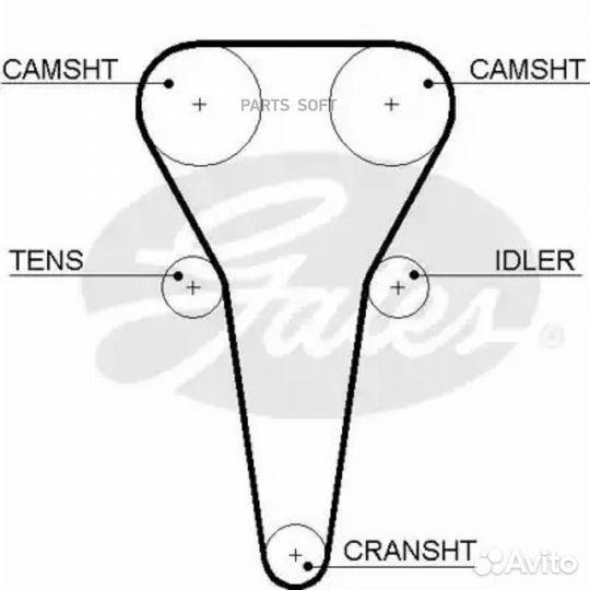 Ремень грм KIA RIO,shuma 1.5-1.6L 137з. 5567XS