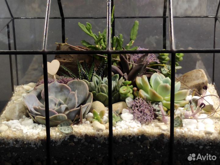 Флорариум/Мини-сад с суккулентами (в наличии)