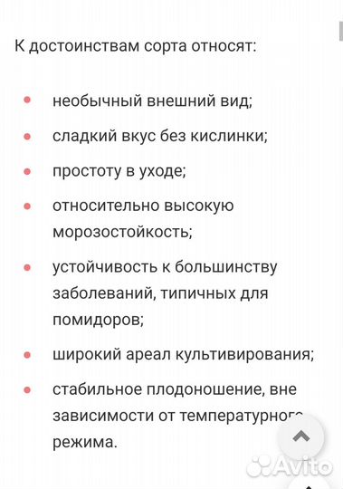 Рассада помидор, излишки
