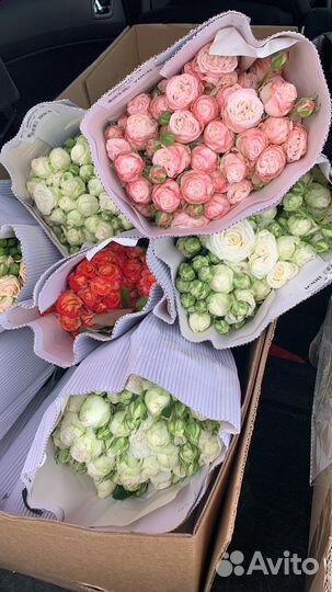 Цветы оптом