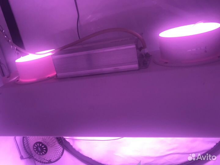 Индукционный светильник 300w