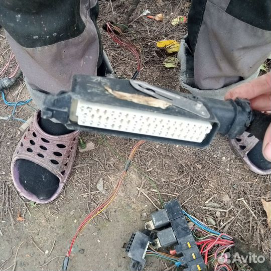 Проводка Эбу