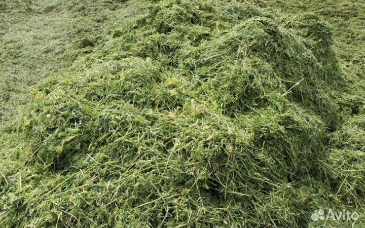 Сенаж, сено