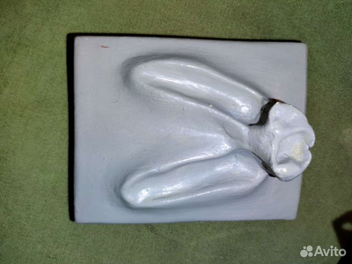 Челюсть макет