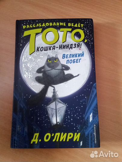 Тото Кошка-ниндзя Д.О' Олири Великий побег