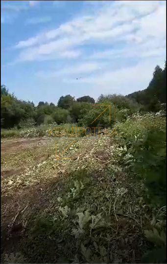 Участок 9,1 сот. (ИЖС)