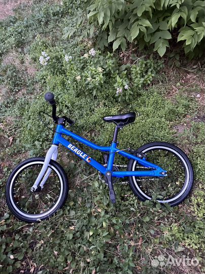 Велосипед beagle 116