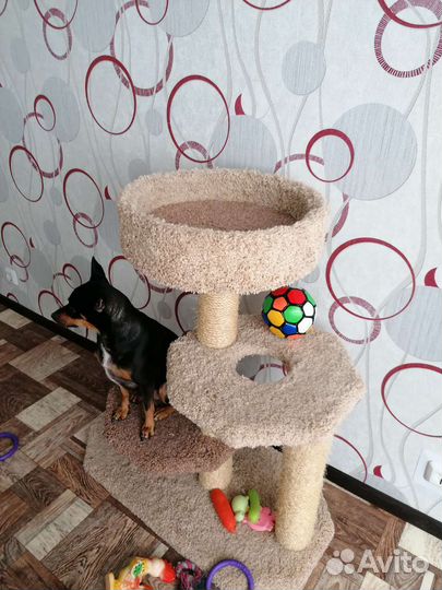 Домик лежанка для кошки