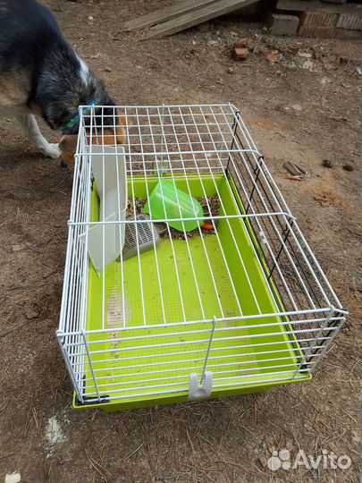 Клетка для морских свинок Ferplast Cavie 6058 х 38