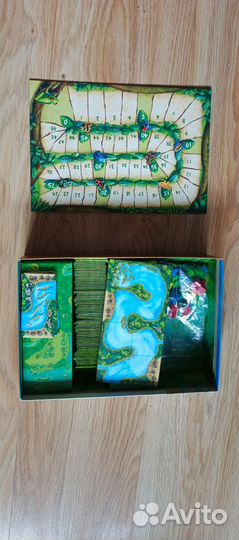 Каркассон амазонка