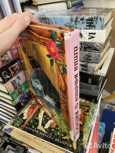 Большая кошачья книга