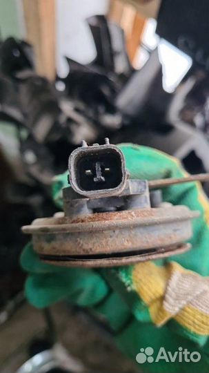 Звуковой сигнал Nissan Juke F15 1.6 DDT 2011