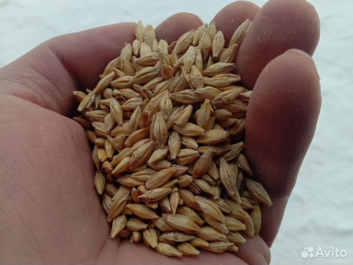 Комбикорм в Туношне