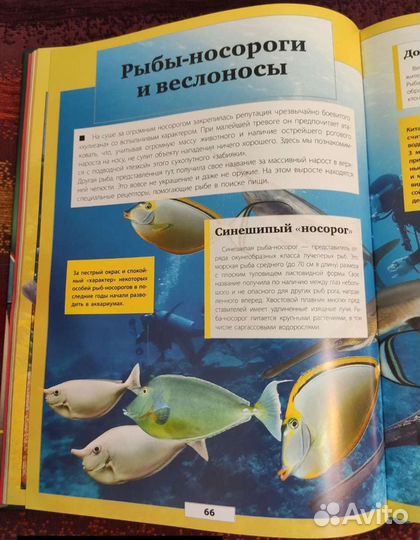 Книга Подводный мир