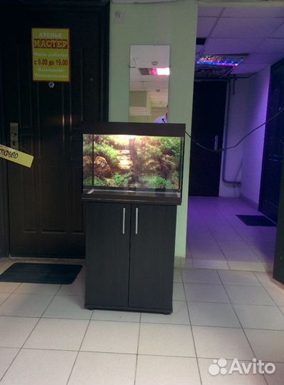 Аквариум 80л, свет биофильтр, фон, подставка