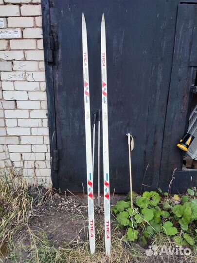 Беговые лыжи