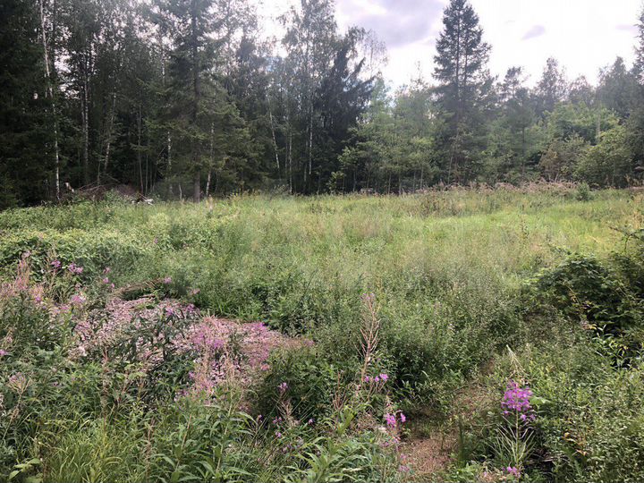 Участок 6 сот. (СНТ, ДНП)