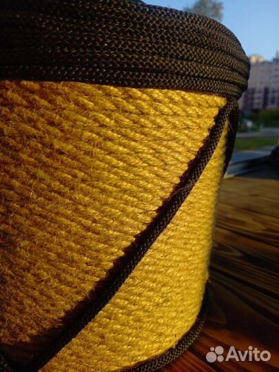 Фикус в кашпо