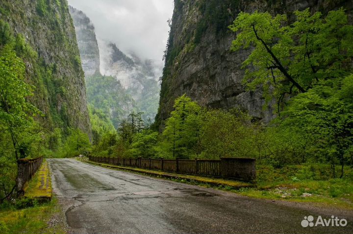 Экскурсии в Абхазию. Озеро Рица и не только
