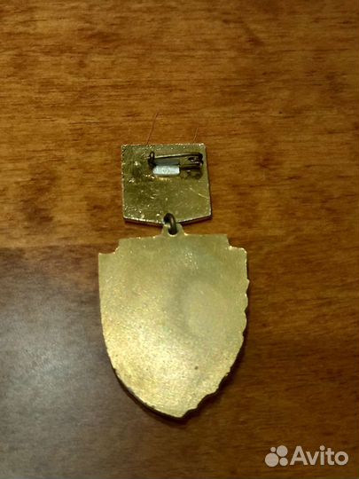 Значок Зарница 79 Одесса