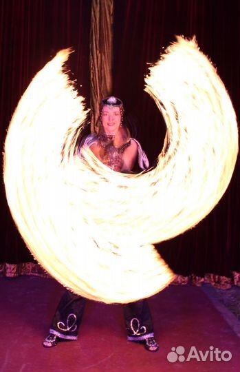 Дрессированные голуби, Огненное и Восточное шоу