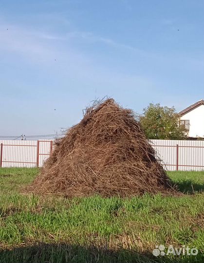 Отдам сено бесплатно