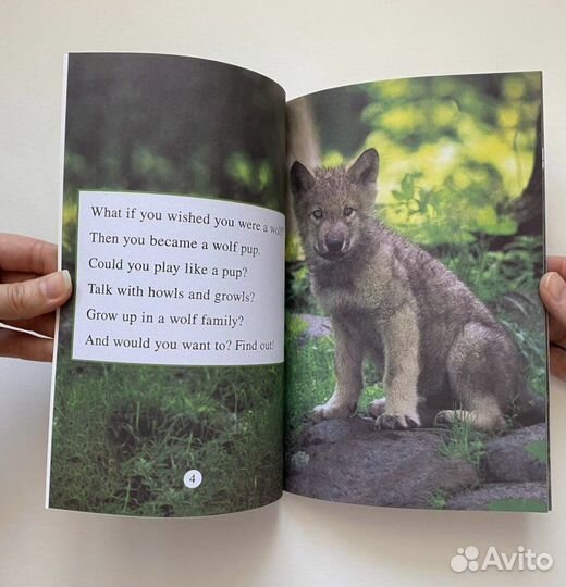 Детские книги на английском языке