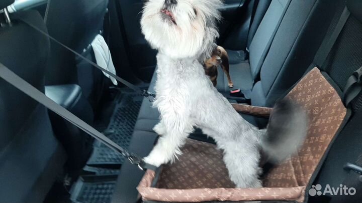 Автолюлька для собак