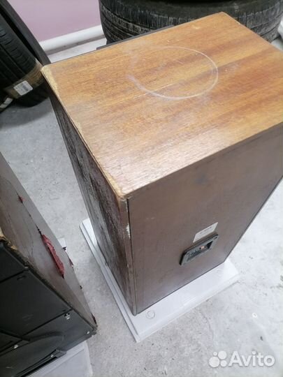 Акустические колонки радиотехника s90b