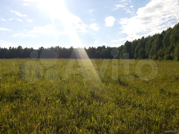 Участок 3,18 га (СНТ, ДНП)