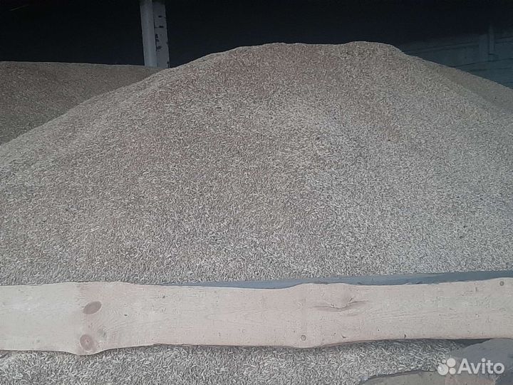 Зерно пшеница ячмень