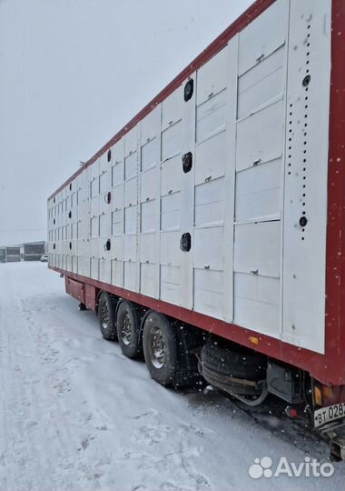 Скотовоз Перевозка животных (крс,мрс,и тд )