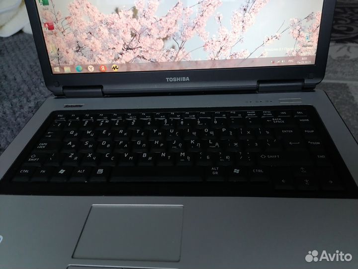 Ноутбук toshiba satellite L40-17T