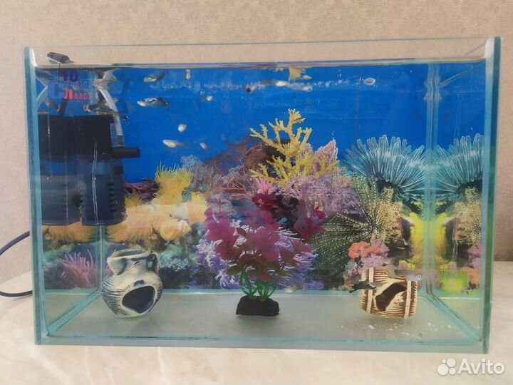 Аквариум 10 литров с рыбками и всем содержимым