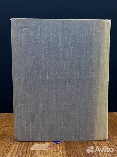 Где ты был, Адам