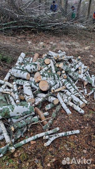 Вывоз строительного мусора,переезд город,межгород