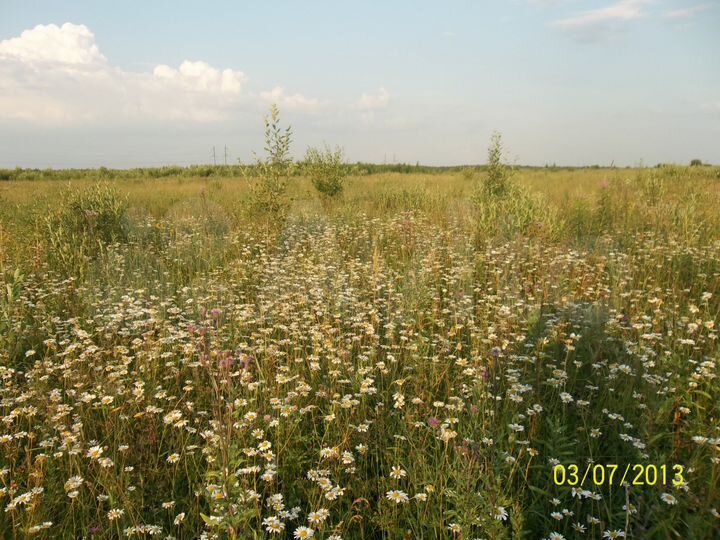 Участок 4,69 га (СНТ, ДНП)