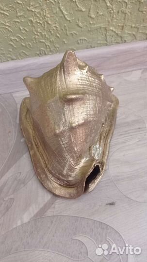 Ракушка большая натуральная