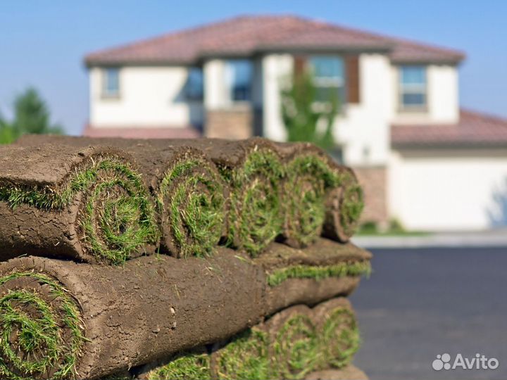 Рулонный газон от производителя
