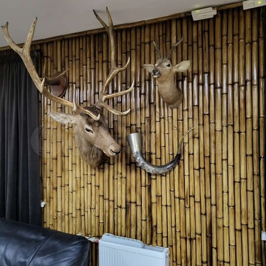 Дом 180 м² на участке 2 га