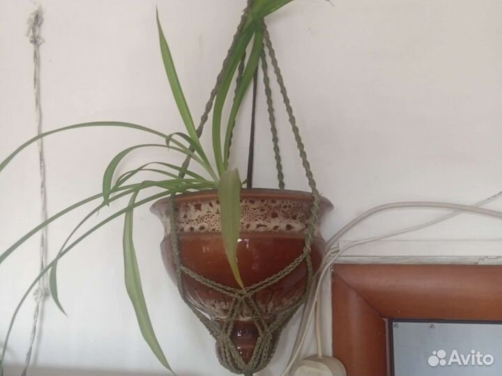 Керамическая кашпо на стену и