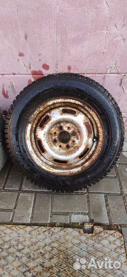 Gislaved Nord Frost 5 175/70 R13 82M