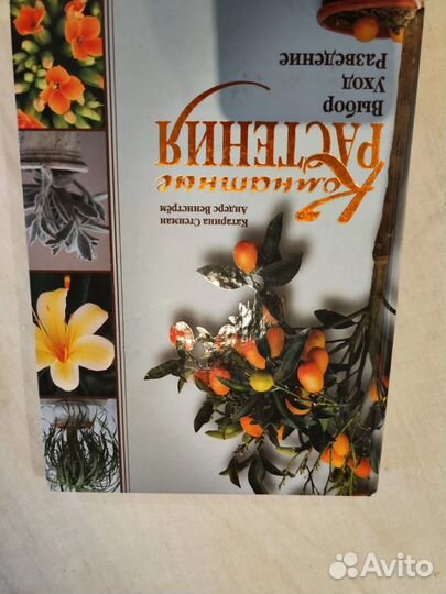 Комнатные растения Катарина Стенман