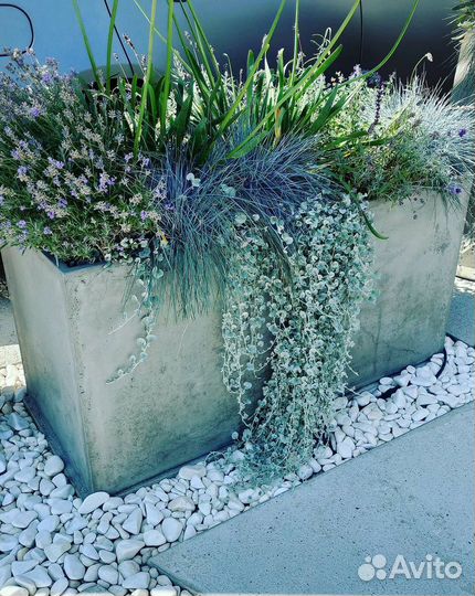 Бетонные кашпо на заказ для цветов / Доставка