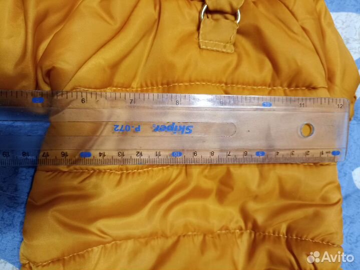 Одежда для собак